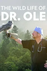 The Wild Life of Dr. Ole постер