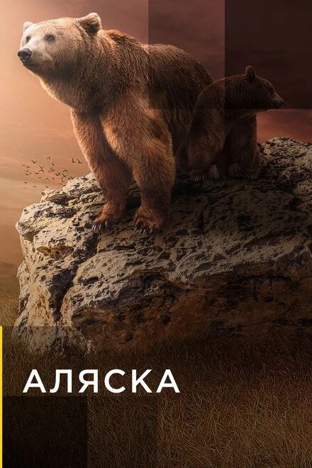 Постер Аляска 2017