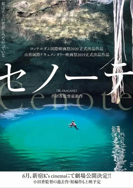 Постер Cenote