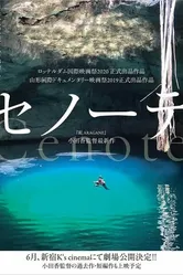Cenote постер