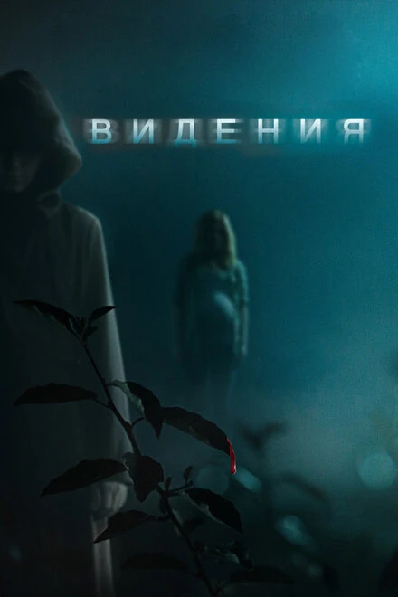 Постер Видения 2014