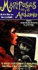 Постер Бабочки в лесах 1996