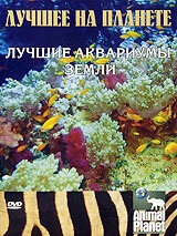 Постер Animal Planet: Лучшее на планете. Лучшие аквариумы земли 2006