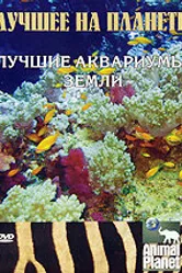 Animal Planet: Лучшее на планете. Лучшие аквариумы земли 2006 постер