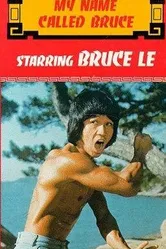 Pi li long quan постер