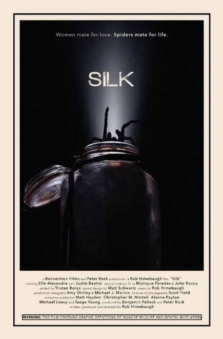 Постер Silk 2014