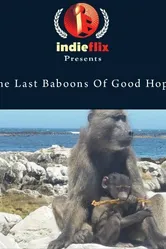 The Last Baboons of Good Hope постер