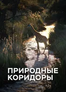 Природные коридоры постер