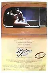 Blueberry Hill постер