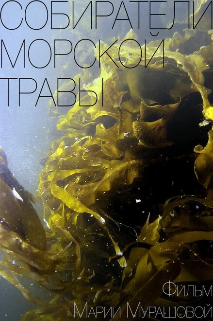 Постер Собиратели морской травы 2016
