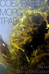 Собиратели морской травы 2016 постер