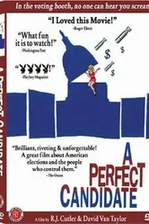 A Perfect Candidate постер