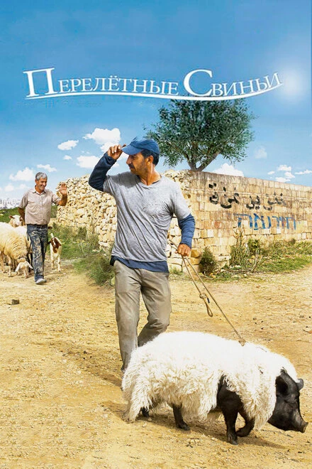 Постер Перелетные свиньи 2011