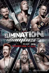 WWE Камера ликвидации 2013 постер