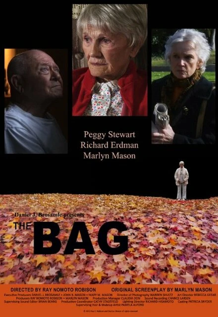 Постер The Bag 2010