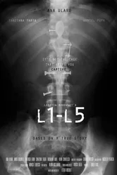 L1-L5 постер