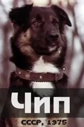Чип 1975 постер