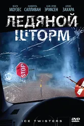 Ледяной шторм 2009 постер