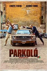 Парковка 2014 постер