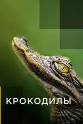 Крокодилы 2019 постер