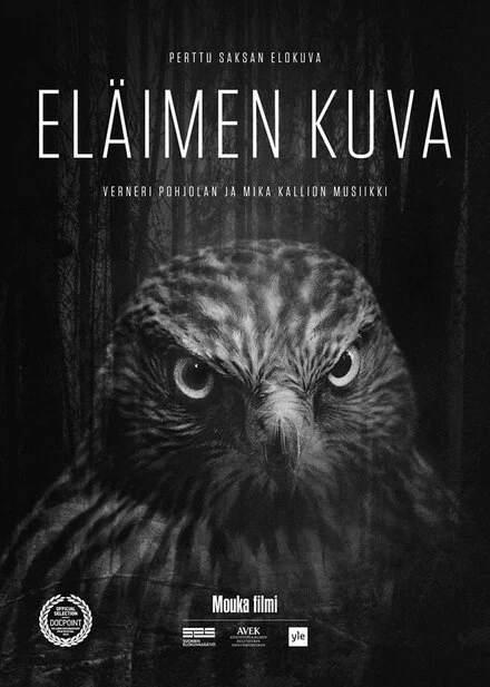 Постер Eläimen kuva