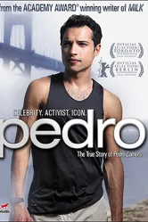 Педро 2008 постер