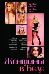 Женщины в беде 2009 постер