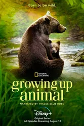Growing Up Animal постер