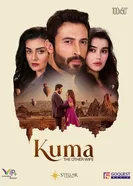 Қолымнан ұста, Турция постер