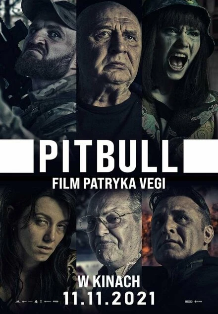 Постер Pitbull 2021