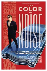 The Color of Noise постер