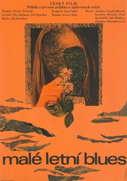 Постер Маленький летний роман 1968