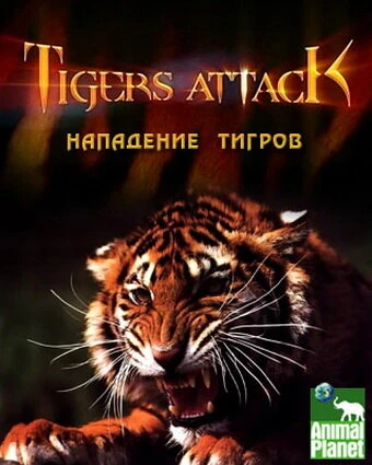 Постер Нападение тигров 2007