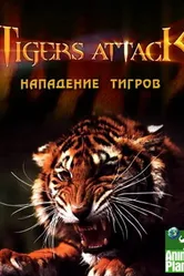 Нападение тигров 2007 постер