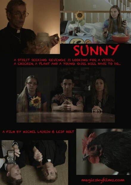 Постер Sunny, США, комедия