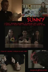 Sunny, США, комедия постер