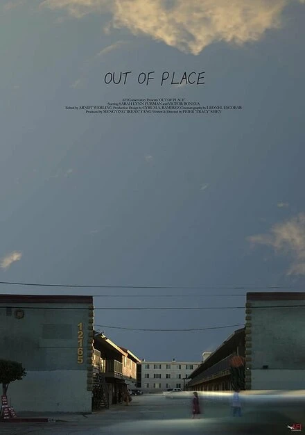 Постер Out of Place 2019, США