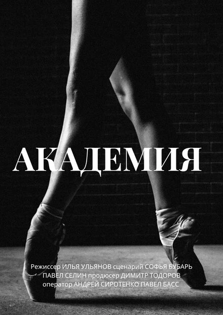 Постер Академия 2014