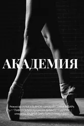 Академия 2014 постер