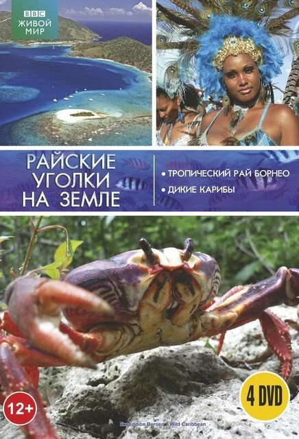 Постер BBC: Тропический рай Борнео 2007