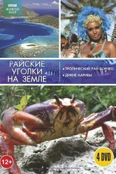 BBC: Тропический рай Борнео 2007 постер