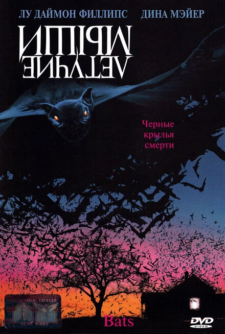 Постер Летучие мыши 1999