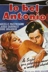 Красавчик Антонио 1960 постер