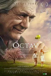 Octav постер