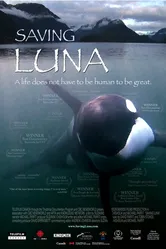 Saving Luna постер