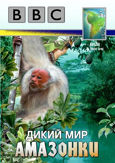 Постер BBC: Дикий мир Амазонки 1989