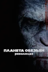 Планета обезьян: Революция 2014 постер