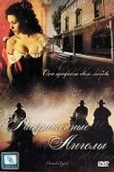 Раскрашенные ангелы 1998 постер