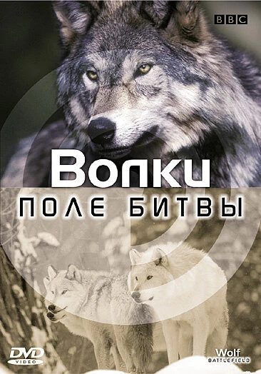 Постер BBC: Поле битвы: Волки 2002
