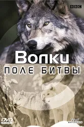 BBC: Поле битвы: Волки 2002 постер